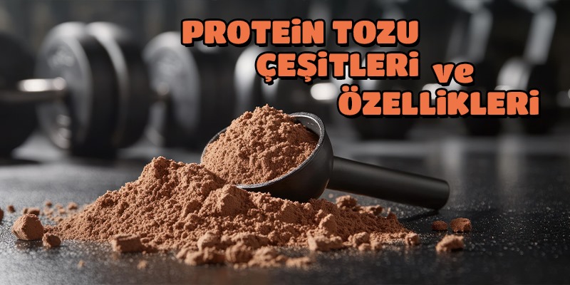 Protein Tozu Çeşitleri ve Özellikleri Protein Tozu Çeşitleri ve Özellikleri